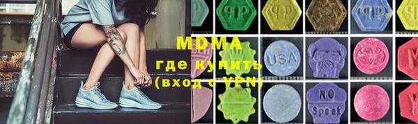 индика Медвежьегорск