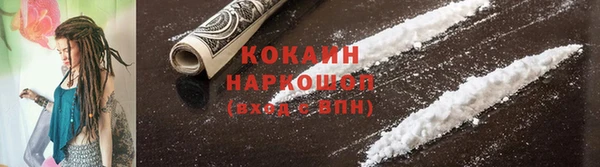 сатива Магас