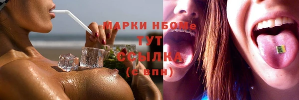 сатива Магас