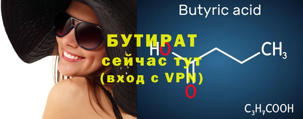 индика Медвежьегорск
