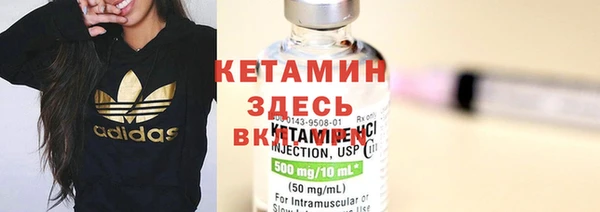 сатива Магас