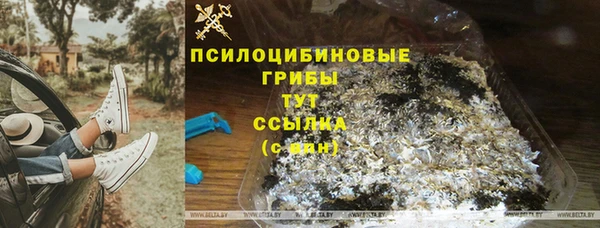 mdpv Верхний Тагил