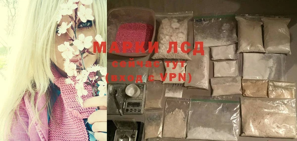 прущие грибы Мегион