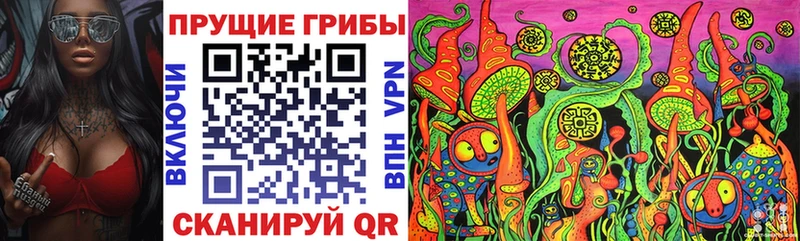 Галлюциногенные грибы мухоморы  дарк нет формула  Томмот 