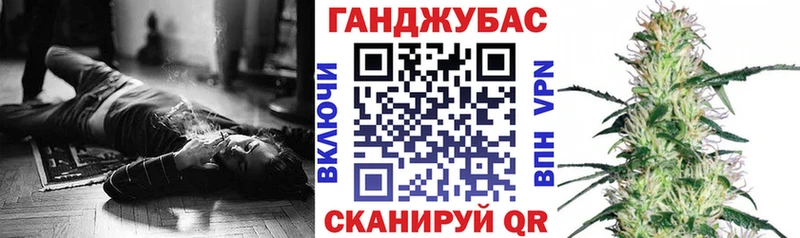 Шишки марихуана сатива  Томмот 